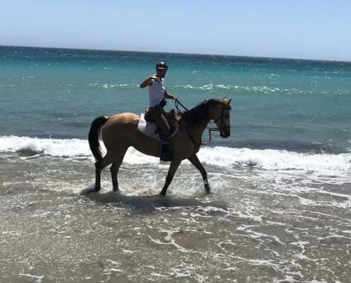 ranch Siesta Los Rubios beach horse riding Estepona
