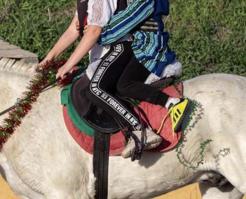 Horse riding Costa Del Sol