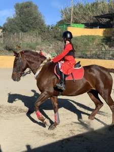 Kids riding lessons Estepona
