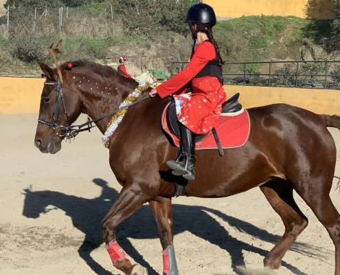 Kids riding lessons Estepona