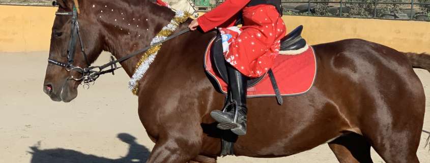 Kids riding lessons Estepona