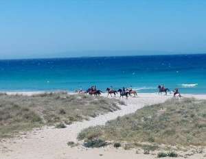 ranch Siesta Los Rubios beach horse riding tarifa on a day trip for experienced riders