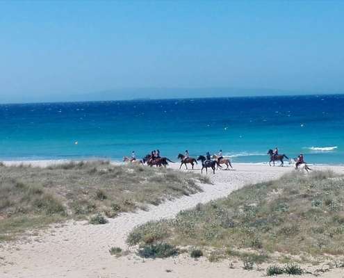 ranch Siesta Los Rubios beach horse riding tarifa on a day trip for experienced riders