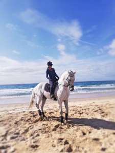 ranch Siesta Los Rubios beach riding in Tarifa on a day trip