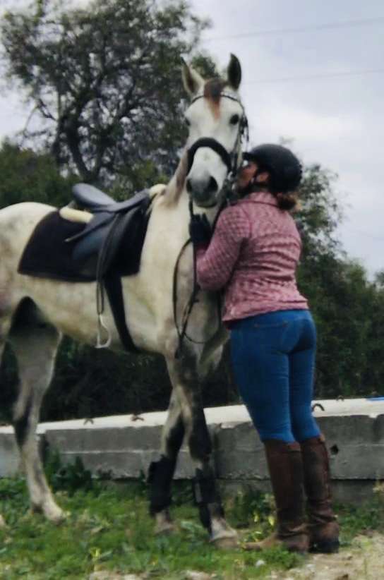 Horse riding Estepona