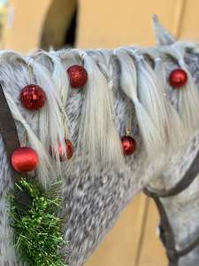 Horse riding Costa Del Sol