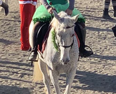 Kids riding lessons Estepona