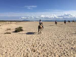 ranch Siesta Los Rubios beach riding in Tarifa on a day trip