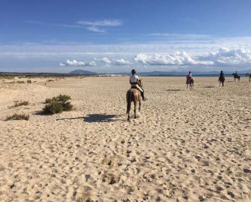 ranch Siesta Los Rubios beach riding in Tarifa on a day trip