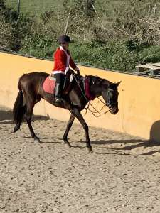 Kids riding lessons Estepona