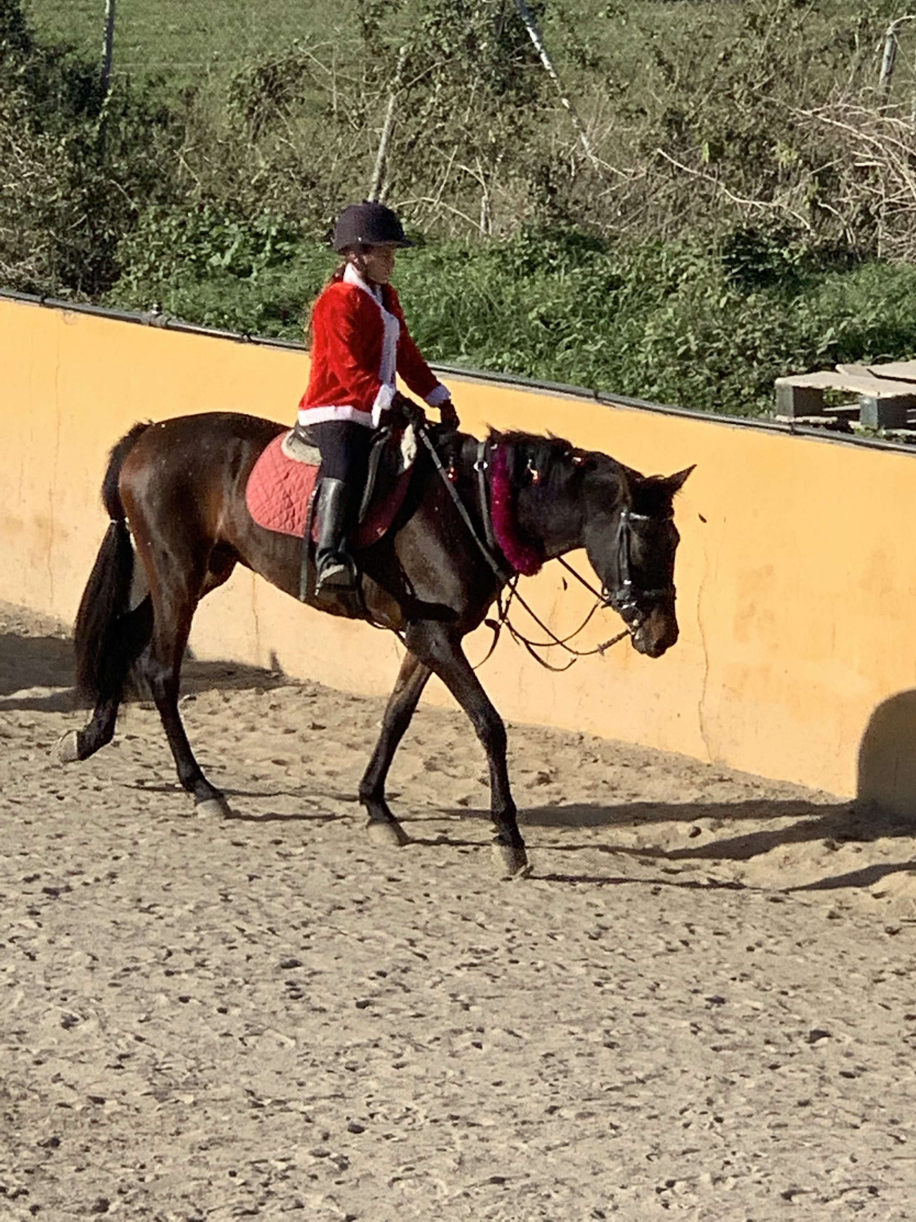 Kids riding lessons Estepona