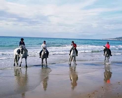 ranch Siesta Los Rubios beach riding in Tarifa on a day trip