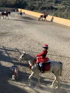 Kids riding lessons Estepona