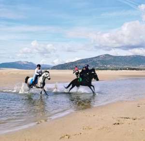 ranch Siesta Los Rubios beach riding in Tarifa on a day trip