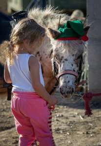 Horse riding Costa Del Sol