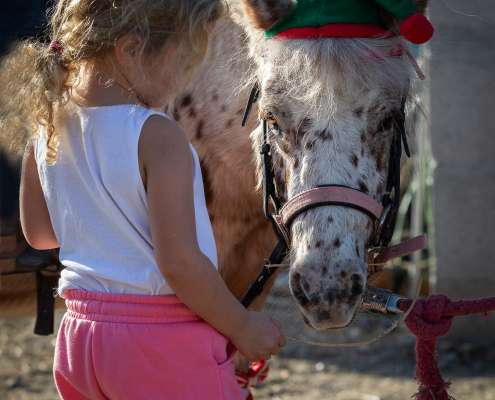 Horse riding Costa Del Sol