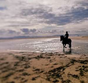 ranch Siesta Los Rubios beach riding in Tarifa on a day trip