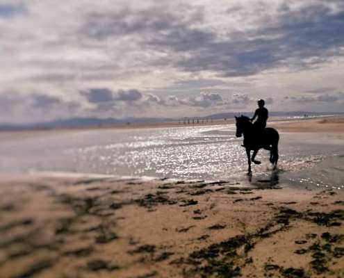 ranch Siesta Los Rubios beach riding in Tarifa on a day trip