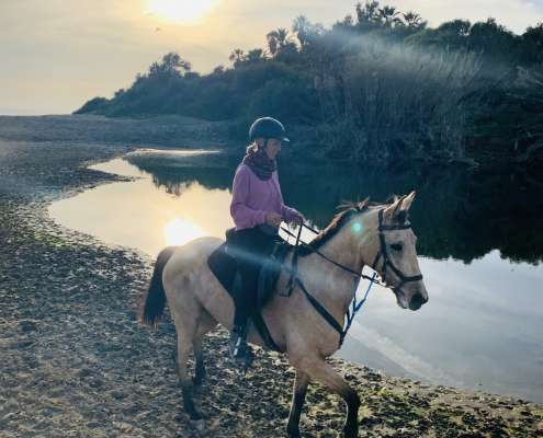 Horse riding on the beach in Estepona Ranch Siesta Los Rubios