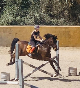 Ranch Siesta Los Rubios jumping lessons in Estepona