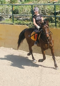 Ranch Siesta Los Rubios jumping lessons in Estepona