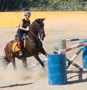 Ranch Siesta Los Rubios jumping lessons in Estepona