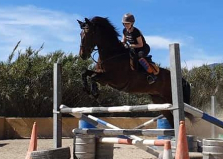 Ranch Siesta Los Rubios jumping lessons in Estepona