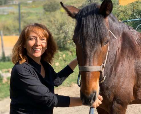 THE BEATLES John, Paul, Ringo & George at Ranch Siesta Los Rubios riding stables Estepona