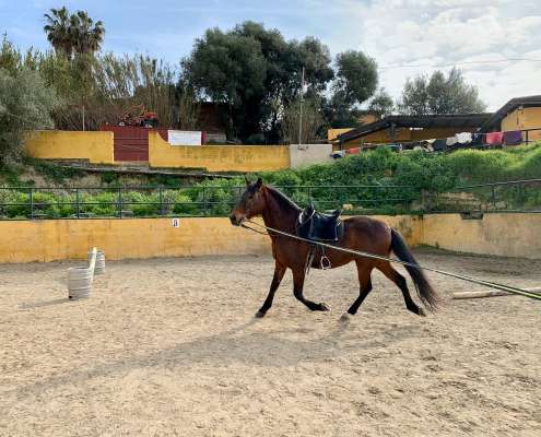 THE BEATLES John, Paul, Ringo & George at Ranch Siesta Los Rubios riding stables Estepona