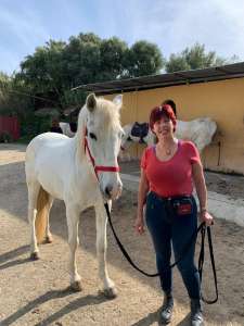 THE BEATLES John, Paul, Ringo & George at Ranch Siesta Los Rubios riding stables Estepona