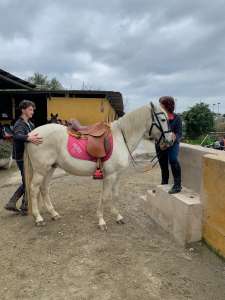 THE BEATLES John, Paul, Ringo & George at Ranch Siesta Los Rubios riding stables Estepona