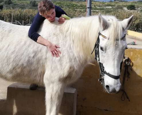 THE BEATLES John, Paul, Ringo & George at Ranch Siesta Los Rubios riding stables Estepona