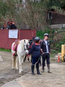 THE BEATLES John, Paul, Ringo & George at Ranch Siesta Los Rubios riding stables Estepona