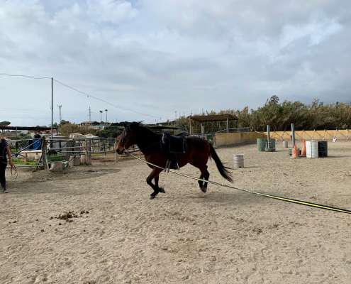 THE BEATLES John, Paul, Ringo & George at Ranch Siesta Los Rubios riding stables Estepona