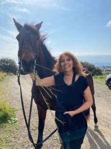 The Beatles bootcamp fabulous four horses at Ranch Siesta Los Rubios John Paul Ringo and George