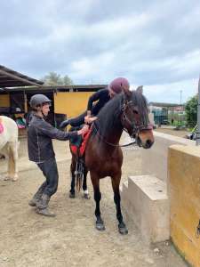 THE BEATLES John, Paul, Ringo & George at Ranch Siesta Los Rubios riding stables Estepona