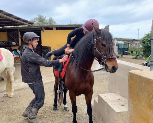 THE BEATLES John, Paul, Ringo & George at Ranch Siesta Los Rubios riding stables Estepona