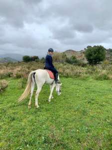 THE BEATLES John, Paul, Ringo & George at Ranch Siesta Los Rubios riding stables Estepona