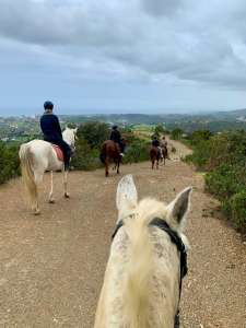 THE BEATLES John, Paul, Ringo & George at Ranch Siesta Los Rubios riding stables Estepona