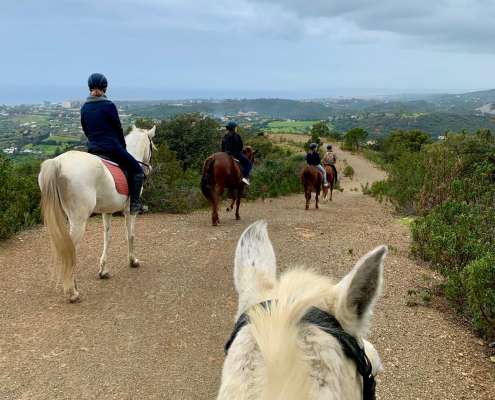 THE BEATLES John, Paul, Ringo & George at Ranch Siesta Los Rubios riding stables Estepona