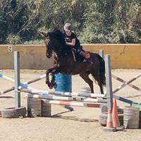 Jumping lessons in Estepona at Ranch Siesta Los Rubios