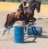 Jumping lessons in Estepona at Ranch Siesta Los Rubios