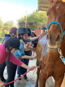 Ranch Siesta Los Rubios Estepona horse riding stables Aprona disabilities group visits