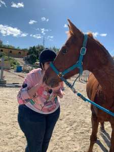 Ranch Siesta Los Rubios Estepona horse riding stables Aprona disabilities group visits