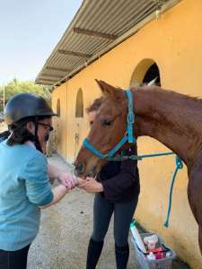 Ranch Siesta Los Rubios Estepona horse riding stables Aprona disabilities group visits