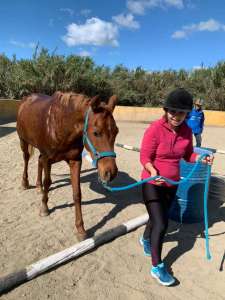 Ranch Siesta Los Rubios Estepona horse riding stables Aprona disabilities group visits