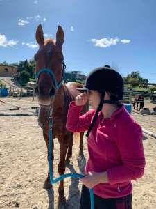 Ranch Siesta Los Rubios Estepona horse riding stables Aprona disabilities group visits