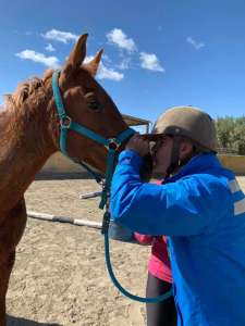 Ranch Siesta Los Rubios Estepona horse riding stables Aprona disabilities group visits