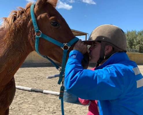 Ranch Siesta Los Rubios Estepona horse riding stables Aprona disabilities group visits