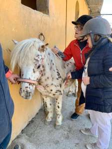 Ranch Siesta Los Rubios Estepona horse riding stables Aprona disabilities group visits